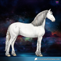 Horse Color:Buckskin Roan Pearl  and Gray Buckskin Roan Pearl 
