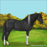 Horse Color:Liver Chestnut Tobiano 