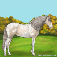 Horse Color:Chocolate Palomino Pearl Dun Tobiano Frame  and Chocolate Palomino Pearl Tobiano Frame 