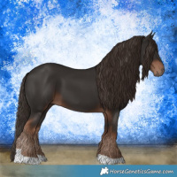 Horse Color:Liver Chestnut Tobiano 