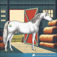 Horse Color:Smoky Creme Sabino Frame 