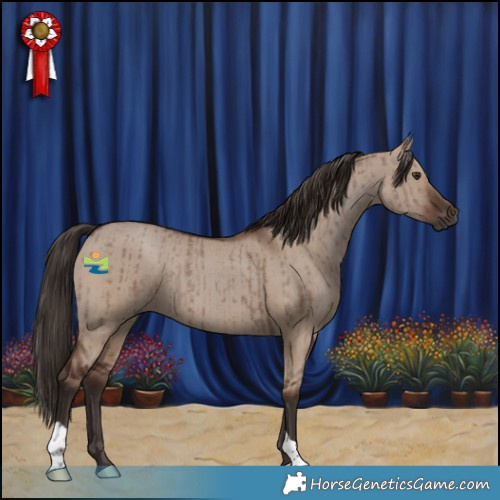 Horse Color:Liver Red Dun Brindle 