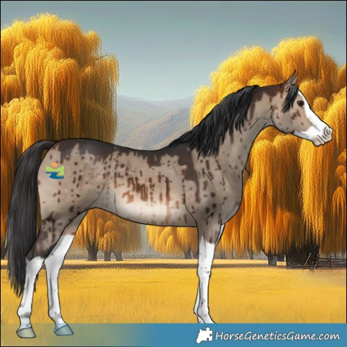 Horse Color:Brown Dun Splash Brindle 