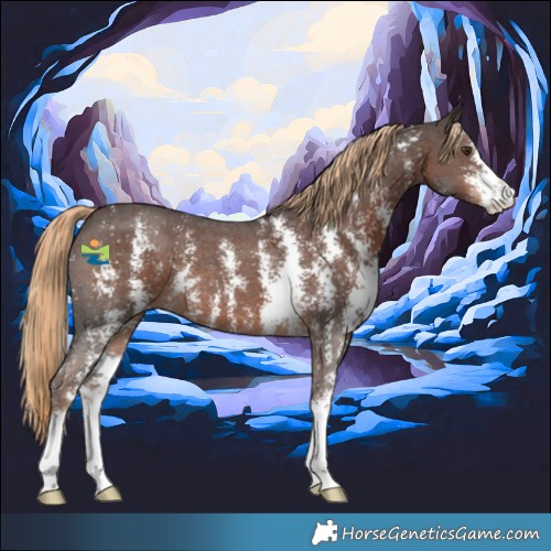 Horse Color:Liver Chestnut Sabino 