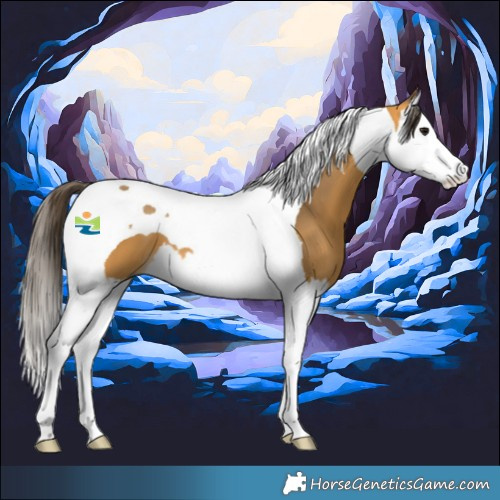 Horse Color:Buckskin Splash Tobiano 