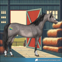 Horse Color:Platinum Bay Dun 