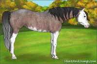 Horse Color:Brown Roan Splash 