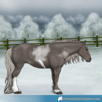 Horse Color:Silver Black Tobiano