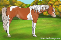 Horse Color:Silver Bay Sabino Tobiano 