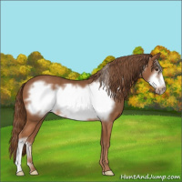 Horse Color:Chestnut Frame