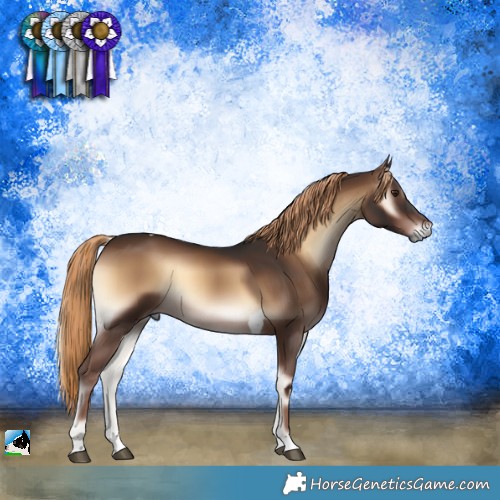 Horse Color:Liver Red Onyx Tobiano 