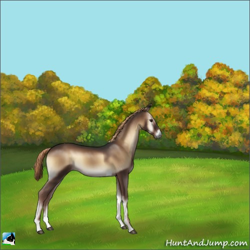 Horse Color:Liver Red Onyx Tobiano 