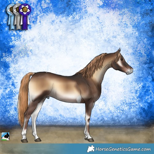 Horse Color:Liver Red Onyx Tobiano 