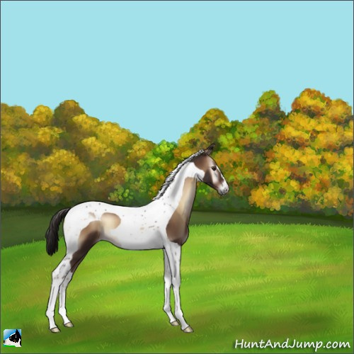 Horse Color:Liver Red Onyx Tobiano 