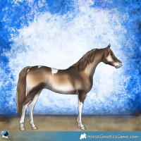 Horse Color:Liver Red Onyx Tobiano 