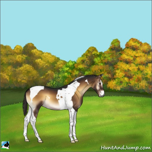 Horse Color:Gray Liver Red Onyx Tobiano 