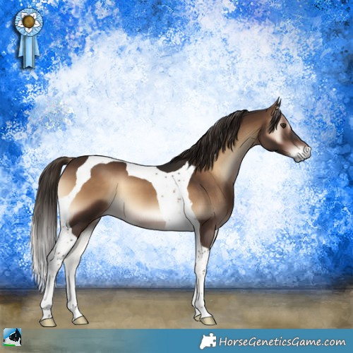 Horse Color:Liver Red Onyx Tobiano 