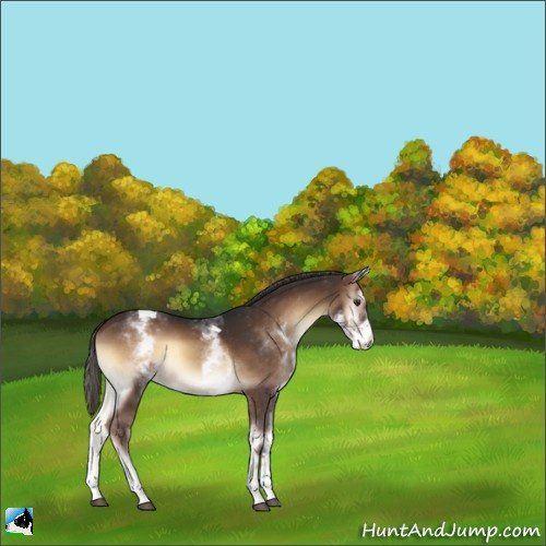 Horse Color:White Spotted Liver Red Onyx Tobiano 