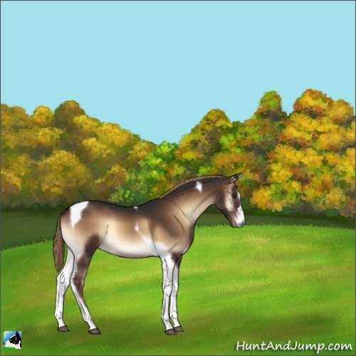 Horse Color:Liver Red Onyx Tobiano 