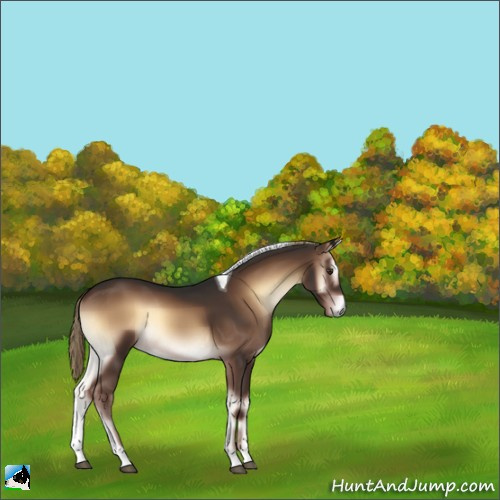 Horse Color:Liver Red Onyx Tobiano 