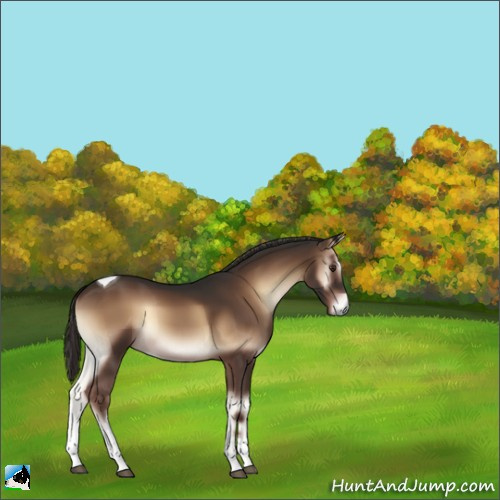 Horse Color:Liver Red Onyx Tobiano 