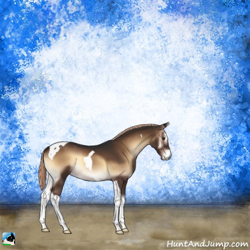 Horse Color:Liver Red Onyx Tobiano 