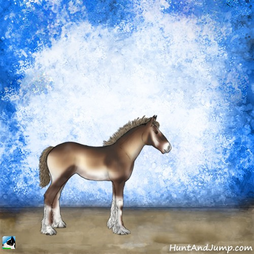 Horse Color:Liver Red Onyx 