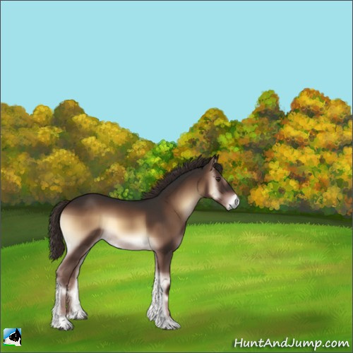 Horse Color:Liver Red Onyx 