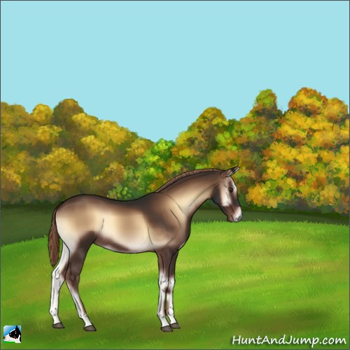 Horse Color:Liver Red Onyx 