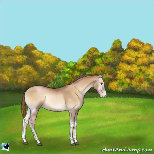 Horse Color:Red Onyx Pearl 