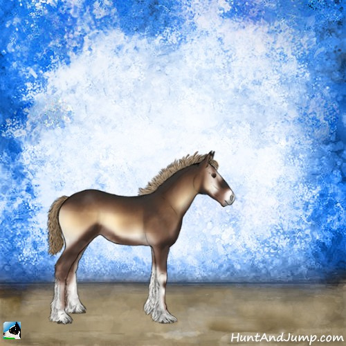 Horse Color:Liver Red Onyx Rabicano 