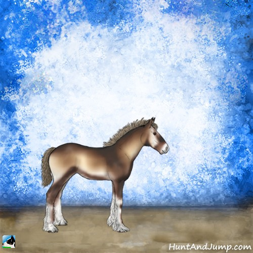 Horse Color:Liver Red Onyx 