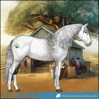 Horse Color:Gray Bay Splash Tobiano 