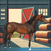 Horse Color:Bay 