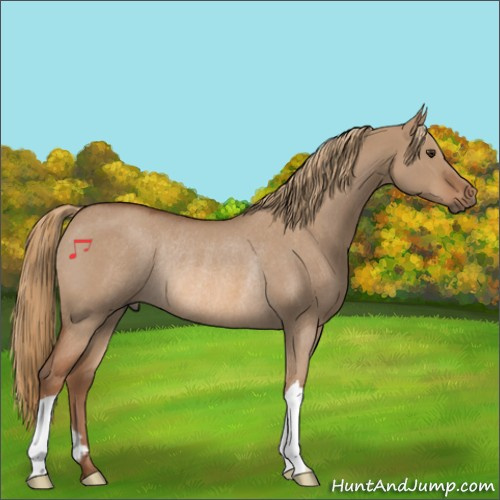 Horse Color:Red Dun Roan Rabicano 