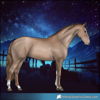 Horse Color:Black Pearl Tobiano 