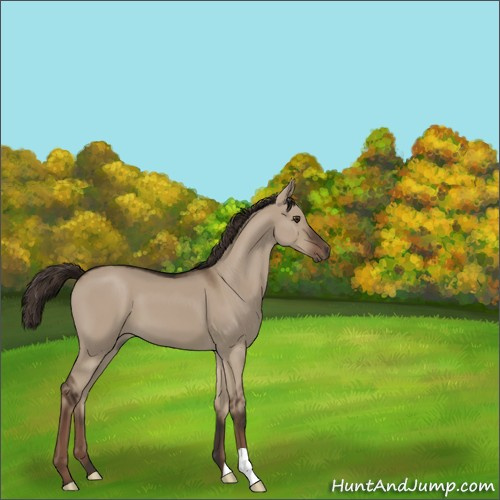 Horse Color:Liver Red Dun 