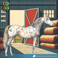 Horse Color:Buckskin Appaloosa Rabicano 