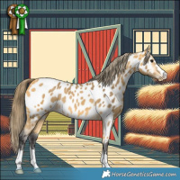 Horse Color:Buckskin Near Leopard Rabicano 