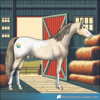 Horse Color:Buckskin Appaloosa Rabicano 