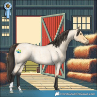 Horse Color:Buckskin Roan Rabicano 