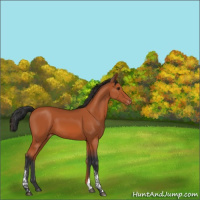 Horse Color:Brown Tobiano Varnish 