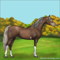 Horse Color:Gray Silver Black Pearl Tobiano 
