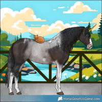 Horse Color:Brown Splash Tobiano Frame 