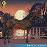 Horse Color:Brown 