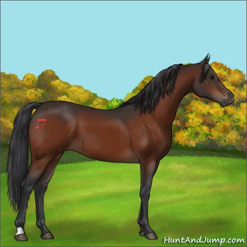 Horse Color:Brown 