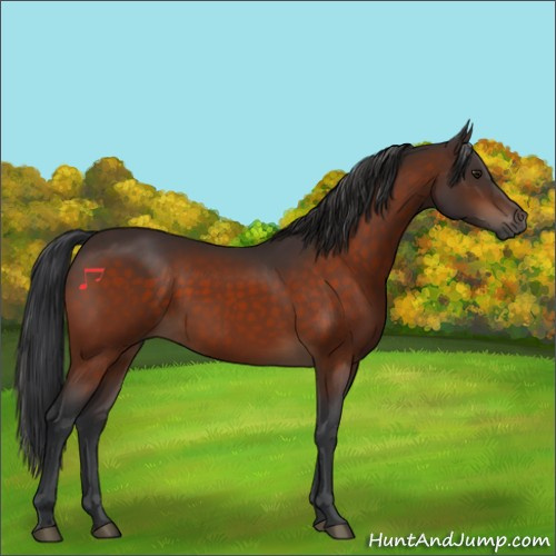 Horse Color:Brown 