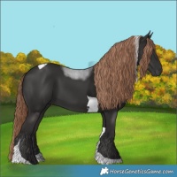 Horse Color:Liver Chestnut Tobiano 