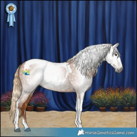 Horse Color:Gray Chestnut Tobiano 