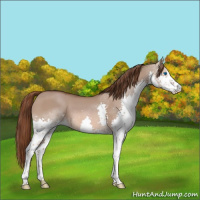 Horse Color:White Spotted Liver Red Dun Splash 